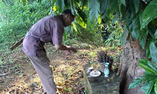 Rung minh chuyen tho san duoc “ma nu” cuu song khoi vuot ho