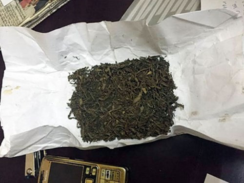 Ta hoa ''co My'' phe nhu ma tuy dau doc gioi tre Viet