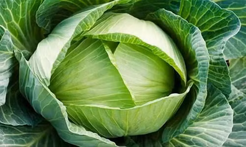 Co ngay “vong eo 56” nhu Ngoc Trinh neu an thuc pham nay