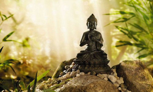 Mieng noi loi cay doc bao nhieu, doi nguoi bac menh bay nhieu