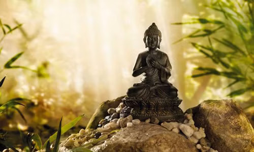 Mieng noi loi cay doc bao nhieu, doi nguoi bac menh bay nhieu