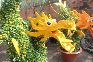 Gan chuc trieu dong mot cap quat kieng hinh ga-Hinh-2