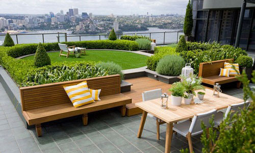 Cam ky phong thuy khong the khong biet khi bo tri cay tren san thuong