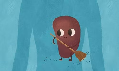 Nằm ngủ nghiêng bên trái có gây hại tim? Nam ngu nghieng ben trai co gay hai tim?