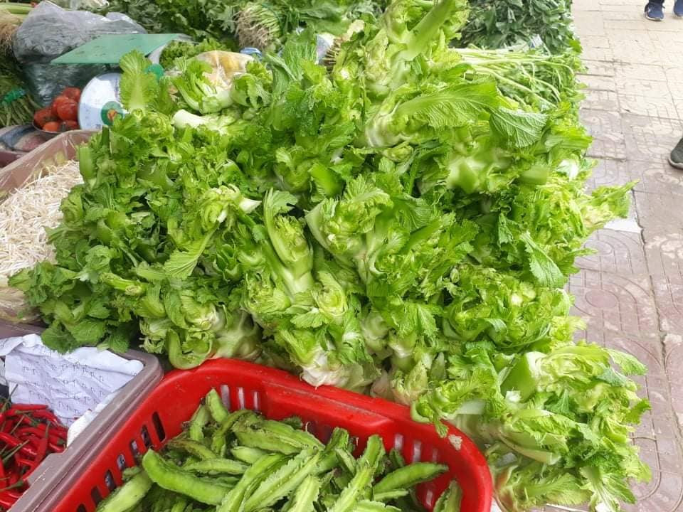 Anh Thịnh cũng tiết lộ thêm, rau mầm đá Trung Quốc do vận chuyển xa hơn, mất nhiều thời gian hơn nên chất lượng kém hơn mầm đá Sa Pa. Khi ăn, rau mầm đá Trung Quốc sẽ không được tươi ngon như mầm đá trồng tại Sa Pa.