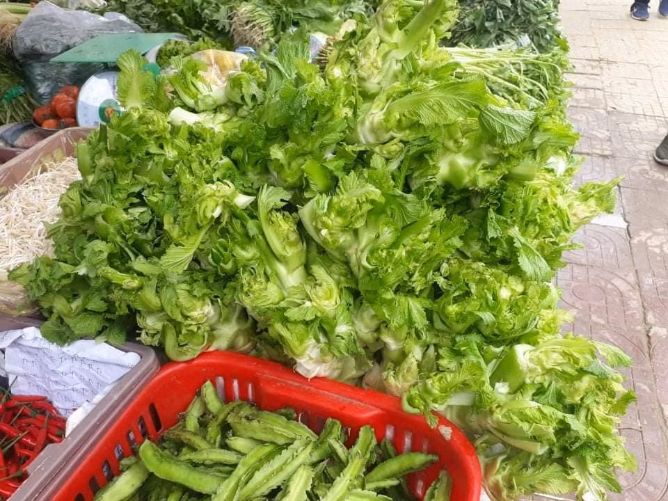 Anh Thịnh cũng tiết lộ thêm, rau mầm đá Trung Quốc do vận chuyển xa hơn, mất nhiều thời gian hơn nên chất lượng kém hơn mầm đá Sa Pa. Khi ăn, rau mầm đá Trung Quốc sẽ không được tươi ngon như mầm đá trồng tại Sa Pa.