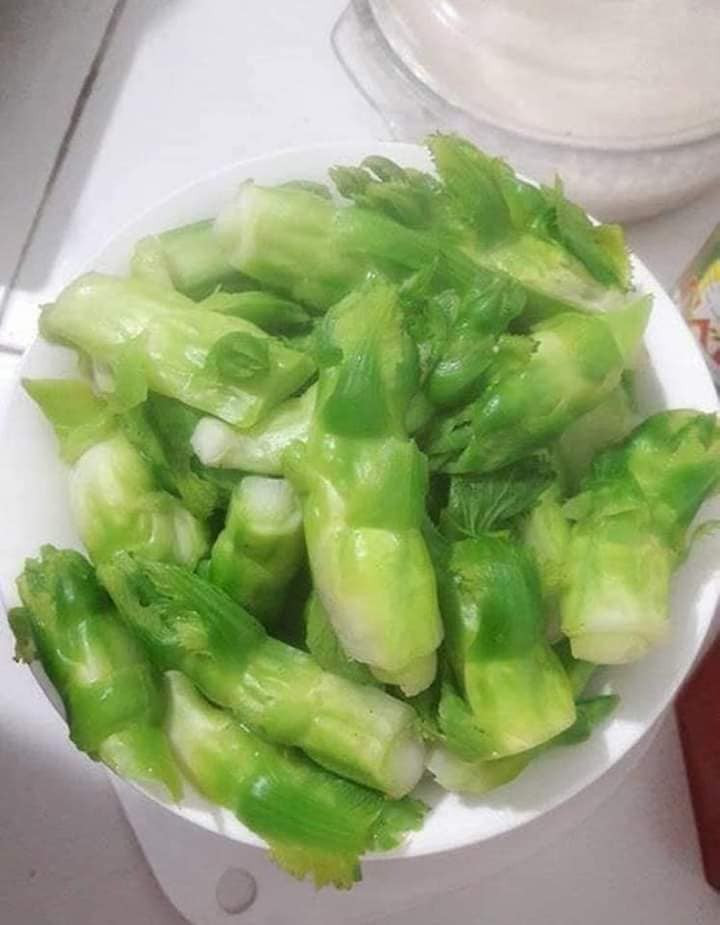 Tuy nhiên, trao đổi với PV Báo Gia đình &amp; Xã hội ngày 17/12, ông Vương Tiến Sỹ - Chi Cục trưởng Chi cục Quản lý chất lượng nông lâm sản và thuỷ sản Lào Cai cho biết, trên địa bàn tỉnh Lào Cai mới cho trồng cây cải mầm đá và cây đang trong quá trình được chăm sóc. Đến thời điểm này thì chưa có cây nào được bán ra thị trường.