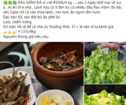 Một tài khoản rao trên Facebook: "Rau mần đá sỉ =lẻ, 100k/4 kg. Lạnh này có ít lắm không có nhiều. Rau mầm đá đặc sản Sapa chỉ có vào mùa lạnh, rau non, ăn ngon lắm luôn. Rau xào tỏi, xào thịt bò, luộc chấm trứng..."