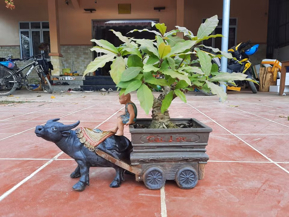 Năm 2021 - năm con trâu Tân Sửu được gửi gắm ước vọng về một năm tràn đầy sung túc, sức khỏe, may mắn cho mọi nhà. Ảnh: Fb Hai Phan