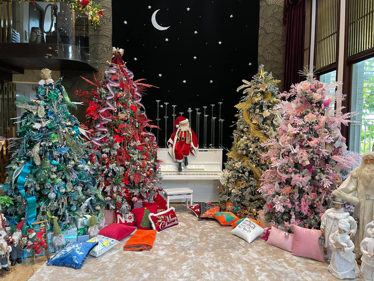 Các cây thông trang trí nhiều phụ kiện sặc sỡ xếp dọc xung quanh lối vào nhà.