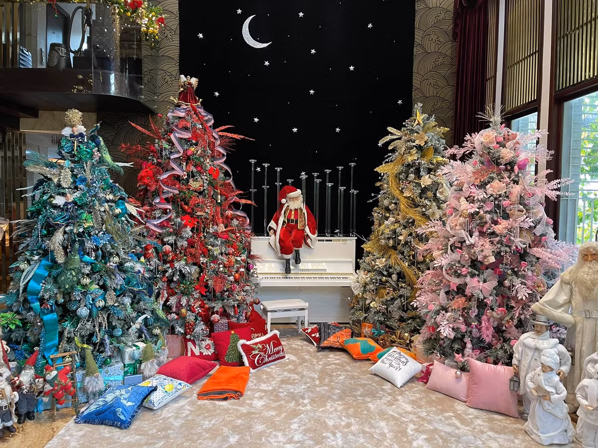 Các cây thông trang trí nhiều phụ kiện sặc sỡ xếp dọc xung quanh lối vào nhà.