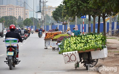 Những tấm biển quảng cáo này có đặc điểm chung là được ghi với mức giá bán vô cùng hấp dẫn. Ảnh: Tiền phong.