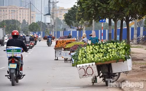 Những tấm biển quảng cáo này có đặc điểm chung là được ghi với mức giá bán vô cùng hấp dẫn. Ảnh: Tiền phong.