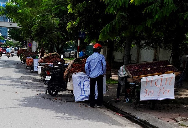 Nhiều người bán hàng rong cũng cho hay, sử dụng những tấm biển quảng cáo giá rẻ theo cách này khiến số lượng người mua cũng tăng đáng kể. Ảnh: Vietq.