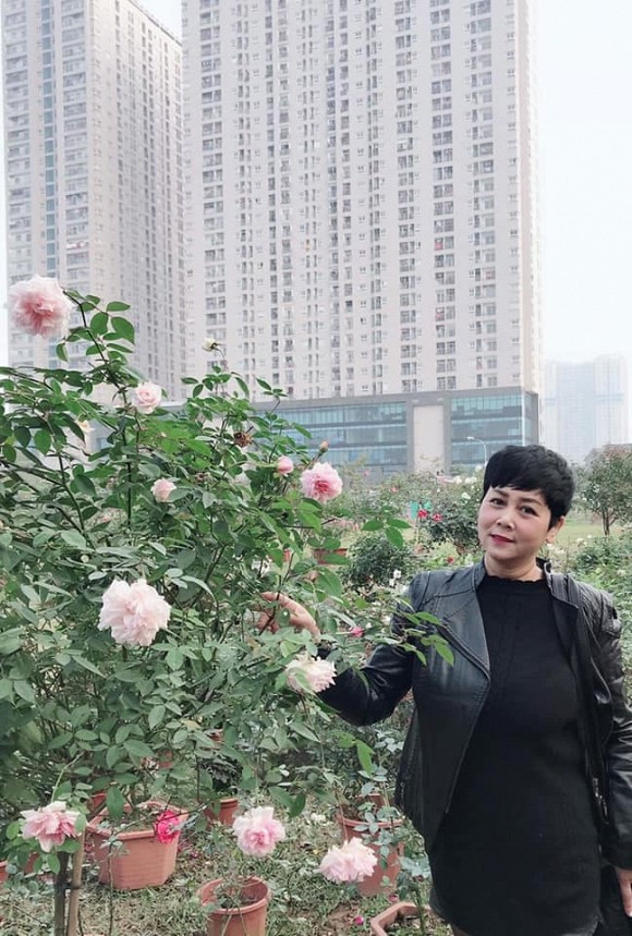 Dù diện tích không quá rộng nhưng nghệ sĩ Minh Hằng trồng rất nhiều loại hoa khác nhau như: hồng, cúc, lan..