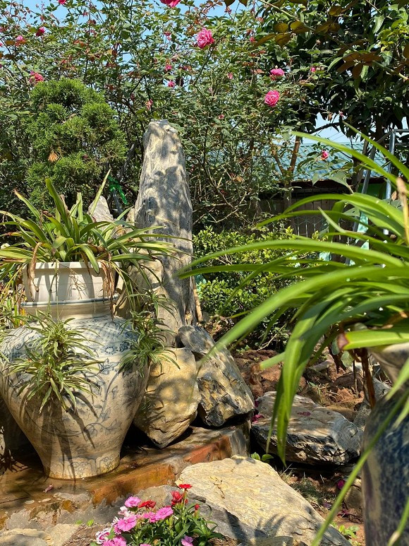 Khoe thành quả với fan sau quãng thời gian chăm sóc, nghệ sĩ Minh Hằng viết: "Khu vườn nhỏ cuối tuần của người nông dân".