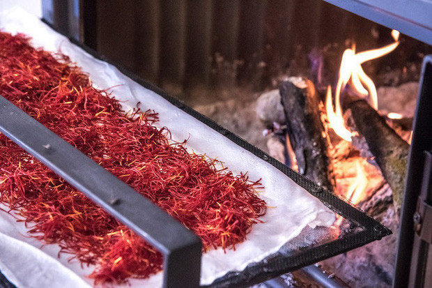 Sau đó, nhụy nghệ tây tươi còn phải qua rất nhiều công đoạn phơi khô, đóng gói, vận chuyển,... cũng đòi hỏi không ít công sức rồi mới đến được đưa ra bán. Ảnh: Internet.