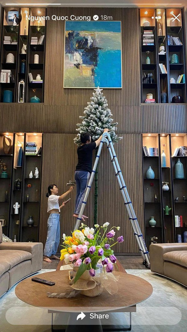 Cây thông to chiếm trọn một góc nhà.