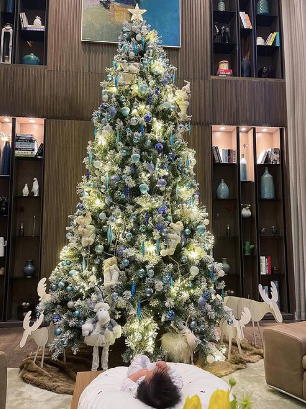 Mới đầu tháng 12 nhưng trong nhà nhiều sao Việt đã ngập tràn không khí Giáng sinh. Tối 1/12, Đàm Thu Trang hào hứng khoe trên trang cá nhân hình ảnh cây thông siêu to được bày trí lung linh đặt giữa căn biệt thự triệu đô.