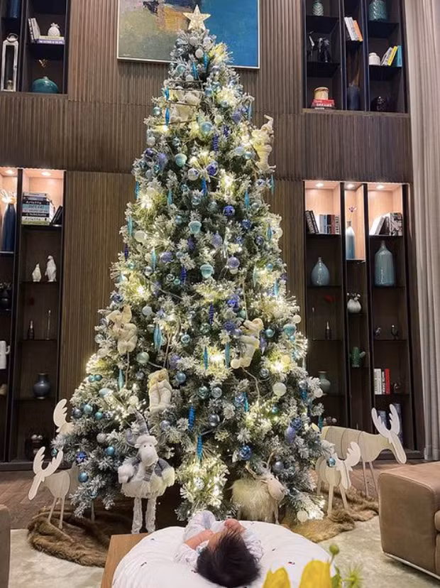 Mới đầu tháng 12 nhưng trong nhà nhiều sao Việt đã ngập tràn không khí Giáng sinh. Tối 1/12, Đàm Thu Trang hào hứng khoe trên trang cá nhân hình ảnh cây thông siêu to được bày trí lung linh đặt giữa căn biệt thự triệu đô.