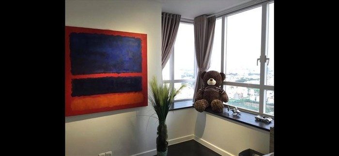 Một góc view trong căn hộ của Dương Triệu Vũ. Nguồn ảnh: NSCC