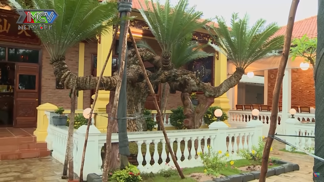 Ngay khi bước vào bên trong, khán giả thực sự choáng váng trước sự bề thế của biệt phủ Lý Nhã Kỳ, với nhiều cổ thụ, gỗ quý, cây cảnh hiếm. Ảnh: Netlove.