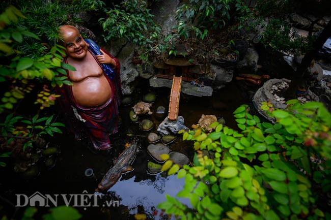 Đặc biệt, mỗi năm, gia chủ lại chỉnh sửa theo sự sắp đặt phong thủy của mình để hoàn thiện hơn theo từng chu kỳ. Ảnh: Dân Việt.