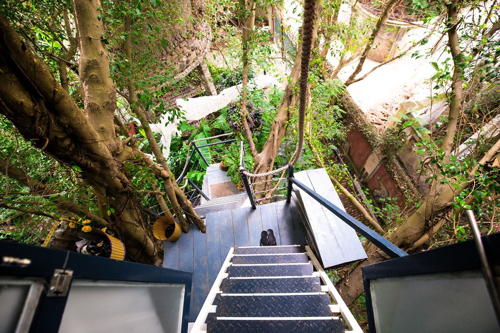 Giống như tên gọi, nơi đây là không gian nghệ thuật tổng hợp (hội họa, âm nhạc, điêu khắc...) gắn liền với thiên nhiên cây cỏ. Ảnh: Zing.