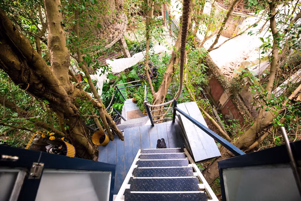 Giống như tên gọi, nơi đây là không gian nghệ thuật tổng hợp (hội họa, âm nhạc, điêu khắc...) gắn liền với thiên nhiên cây cỏ. Ảnh: Zing.