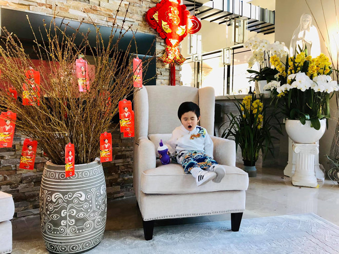 Mọi vật dụng trong ngôi nhà đều được hai vợ chồng chọn lựa cẩn thận và cầu kỳ từ không gian sinh hoạt chung cho đến vườn, khu bếp, phòng ngủ, sân chơi, bể bơi....