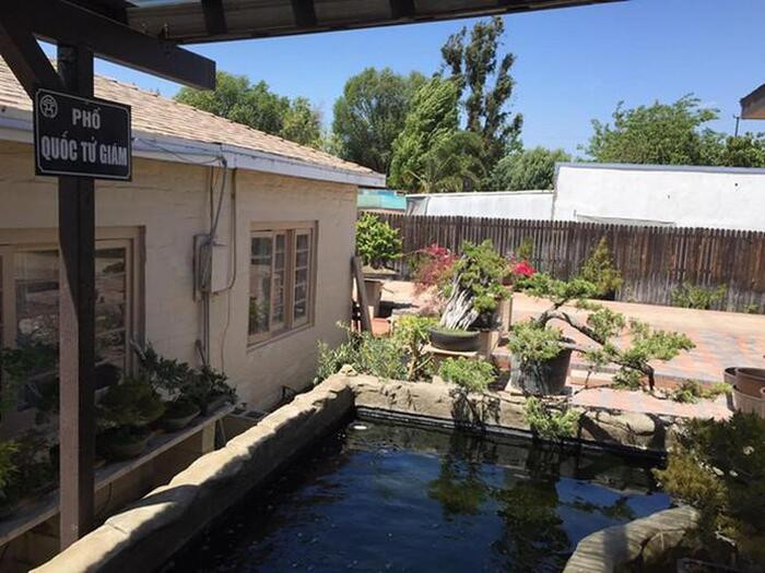 Từ vườn hoa, hàng cây ăn trái đến vườn bonsai đắt giá đều được đích thân Bằng Kiều chăm chút tỉ mỉ.