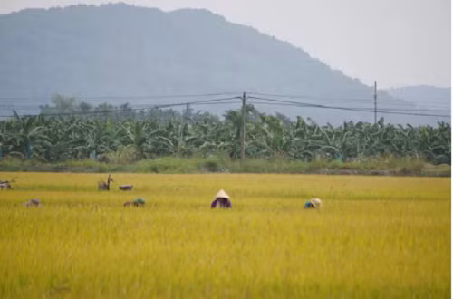 Chu tich xa tu vong trong tu the treo co tai nha rieng