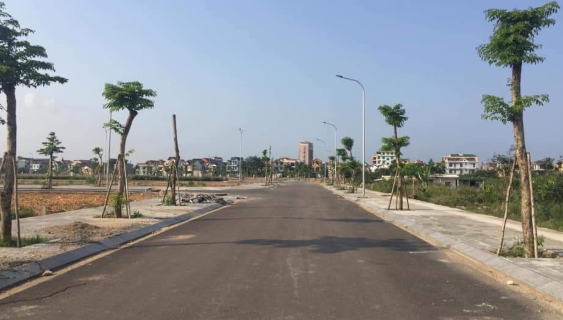 Soi ho so BDS My va STC Golden Land trung lo dat nghin ty o Dong Nai