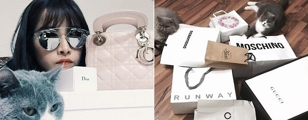 Không chỉ vậy, Chi Pu còn được fan gọi là "thánh nữ hàng hiệu khi sở hữu hàng loạt sản phẩm của Gucci, Chanel, Dior, Balmain, Versace...