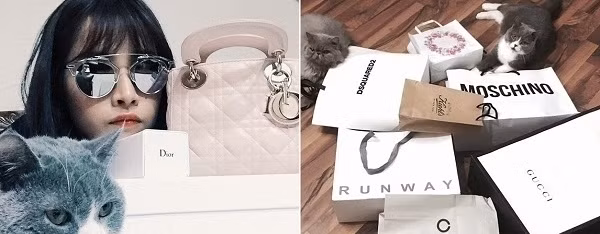 Không chỉ vậy, Chi Pu còn được fan gọi là "thánh nữ hàng hiệu khi sở hữu hàng loạt sản phẩm của Gucci, Chanel, Dior, Balmain, Versace...