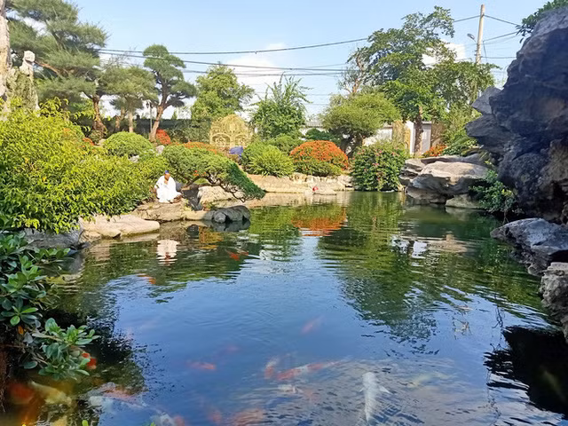 Trong khuôn viên biệt thự có sân vườn rộng với nhiều tiểu cảnh, cây xanh và hồ cá. Ảnh: Khắc Thành.