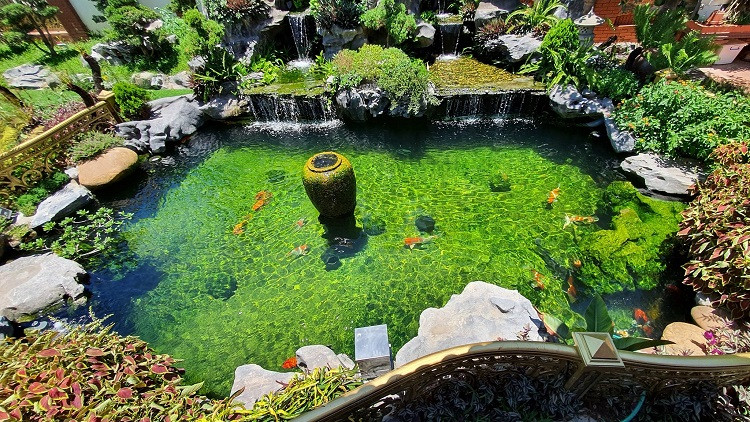 Hồ cá 50 m3, ở giữa có chum đá, ống nước phun lên tượng trưng cho phúc lộc lúc nào cũng dồi dào. Ảnh: Dân Việt.