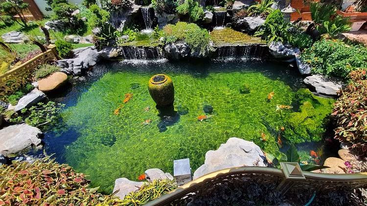 Hồ cá 50 m3, ở giữa có chum đá, ống nước phun lên tượng trưng cho phúc lộc lúc nào cũng dồi dào. Ảnh: Dân Việt.