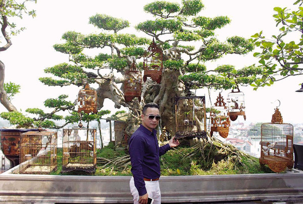 Anh Dương Văn Chương tên thường gọi là Chương Tailor) nổi tiếng trong giới sinh vật cảnh là một đại gia “chịu chơi” khi chi hàng chục tỷ đồng cho thú vui thượng lưu của mình. Ảnh: Giadinhnet.