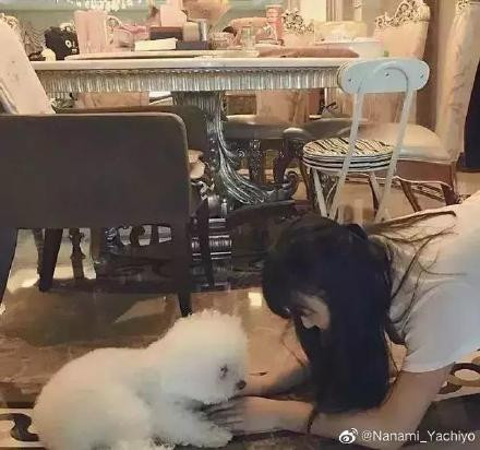 Triệu Lệ Dĩnh cũng sở hữu một ngôi nhà cao cấp, với phong cách bán cổ điển, gu thẩm mỹ tinh tế và gọn gàng. Ảnh: Xinhua.