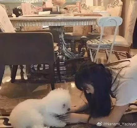 Triệu Lệ Dĩnh cũng sở hữu một ngôi nhà cao cấp, với phong cách bán cổ điển, gu thẩm mỹ tinh tế và gọn gàng. Ảnh: Xinhua.