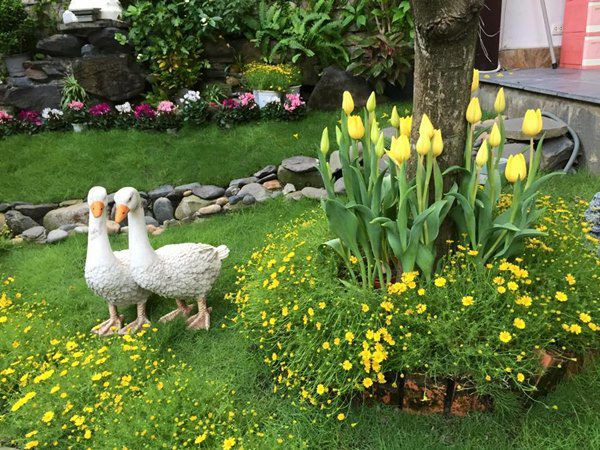 Nam ca sĩ tiết lộ, việc nhà cửa và sân vườn của anh không chỉ được thiết kế đẹp mắt hợp lý mà còn đầy đủ về yếu tố phong thuỷ.