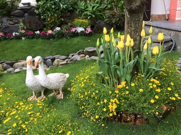 Nam ca sĩ tiết lộ, việc nhà cửa và sân vườn của anh không chỉ được thiết kế đẹp mắt hợp lý mà còn đầy đủ về yếu tố phong thuỷ.