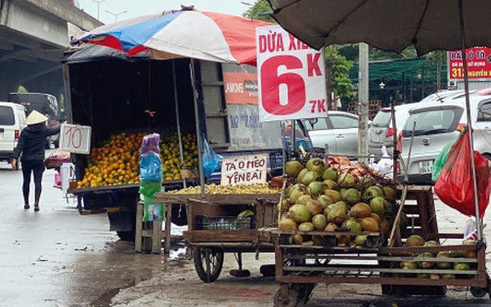 Tiểu thương này cũng cho biết thêm, dừa xiêm thường chia làm 3 loại: loại 1 là hàng to từ 1,3kg trở lên, loại 2 là hàng xổ tầm 1-1,2kg; loại 3 là hàng bi tầm 0,7-1kg. Đây là họ đang xả dừa cũ, nếu là hàng xổ thì bán là giá được, còn hàng bi thì đắt, còn hàng loại 1 thì không có giá này”. Ảnh: Đời sống pháp luật.