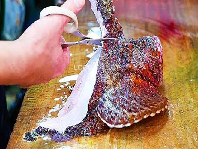  Công đoạn chế biến cá mặt quỷ rất phức tạp. Để loại bỏ nọc độc, người ta sẽ phải loại bỏ lớp da xù xì bên ngoài và phần tia vây có nọc độc. Người đầu bếp sẽ phải rất cẩn thận khi loại bỏ những phần này.