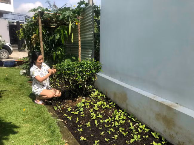 Những lúc rảnh rỗi, Ốc Thanh Vân chăm chỉ làm vườn. Ảnh: FBNV.