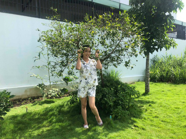 Cây chanh sai trĩu quả. Ảnh: FBNV.