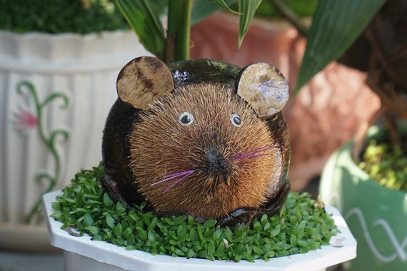 Mỗi cây bonsai dừa đều được trồng thêm cỏ may mắn như muốn gửi đến người chơi bonsai những điều may mắn, hạnh phúc trong năm mới. Ảnh: Nongnghiep.