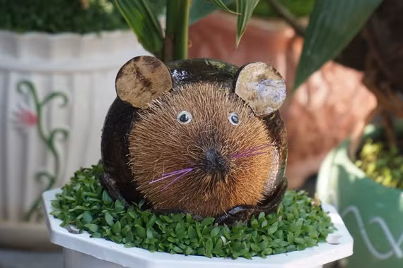 Mỗi cây bonsai dừa đều được trồng thêm cỏ may mắn như muốn gửi đến người chơi bonsai những điều may mắn, hạnh phúc trong năm mới. Ảnh: Nongnghiep.