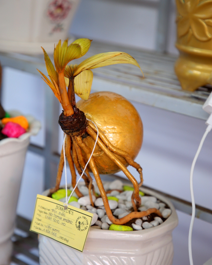 Theo các nghệ nhân, khâu khó nhất có lẽ là lột vỏ dừa. Phải làm sao rễ dừa không bị hư, thân dừa không bị gãy và phần gáo dừa phải luôn nhẵn bóng. Ảnh: Congan.